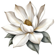 480