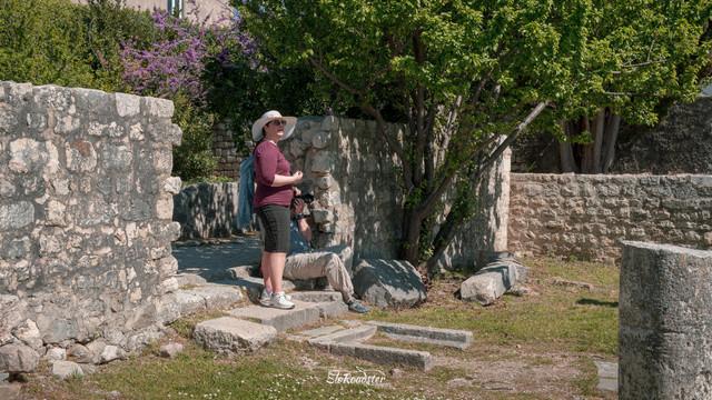 Rab 02115.jpg