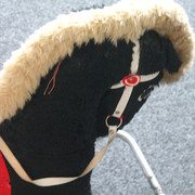 IMG-8844