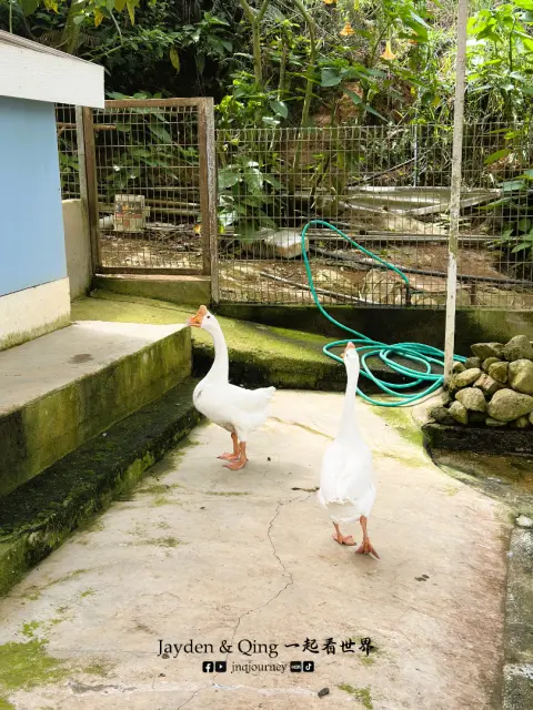 Green View Garden15.webp
