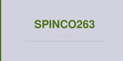 Spinco263 gorsel.jpg