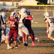 IMG-1537