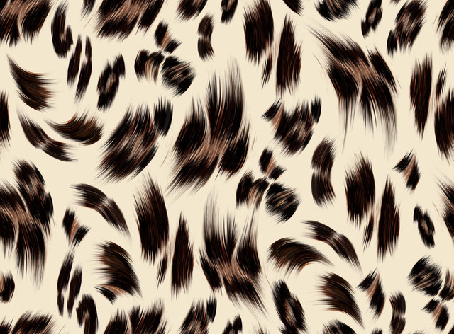 shutterstock 2377337449.jpg