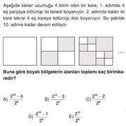 dizi