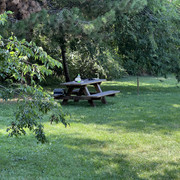 IMG-0036