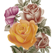 183-copy