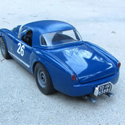 IMG 4587