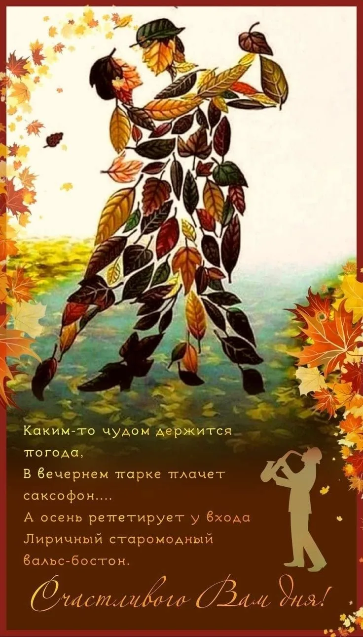 https://i.ibb.co/Y7xkJv3L/IMG-5520.webp