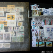 IMG-2421