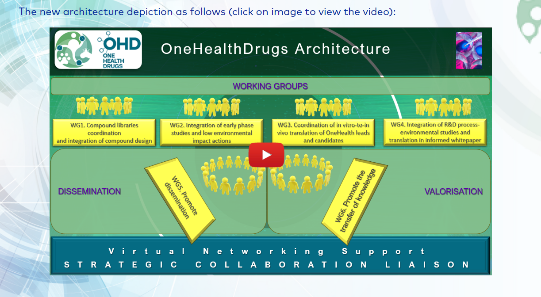 VNS Strategic Collaboration Liaison architecture