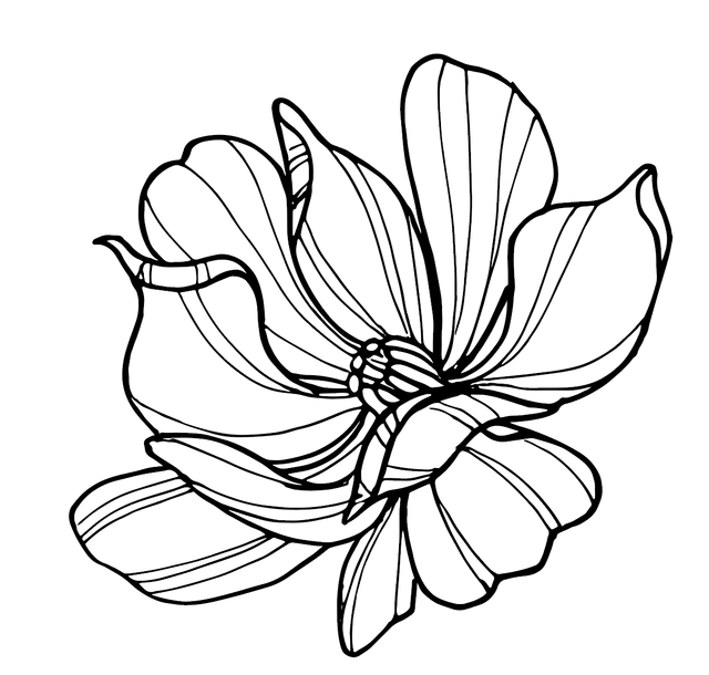 447c464feded706b343ea6c18a64154b.png