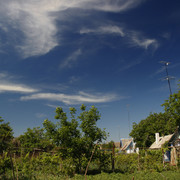 1002a0161m