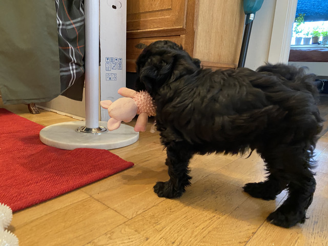 30-A7-EC95-E747-4-C14-8477-95-F2-F45-B81