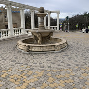 IMG-1226