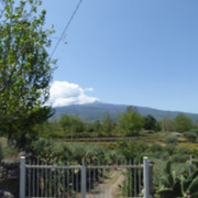 P1020726