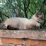 IMG-3651