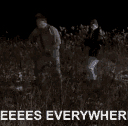 bees everywhere tommy