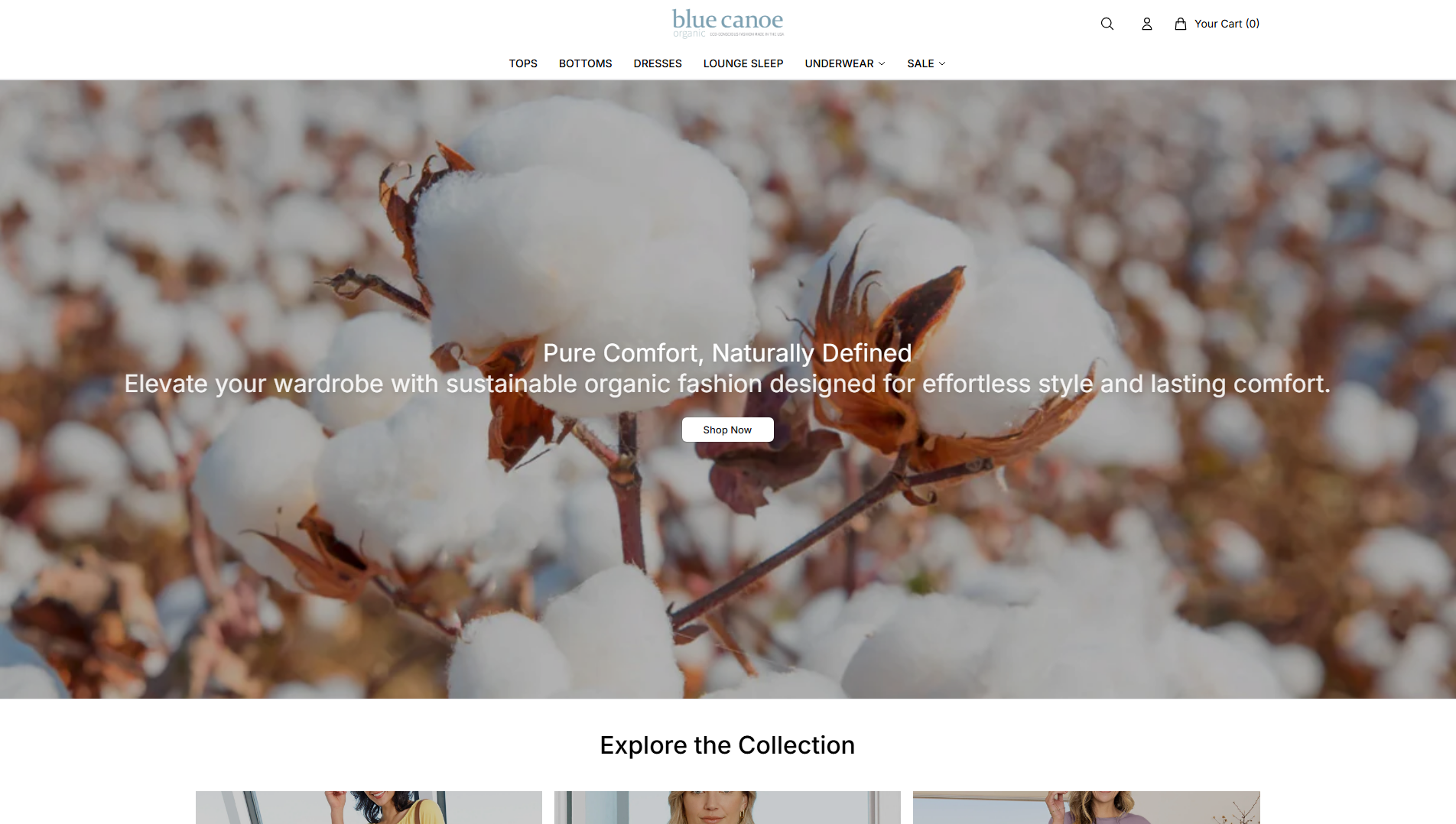 Stored capture of bluecanoestudio.shop