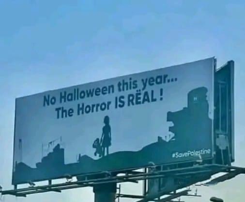 IMG-6241.jpg