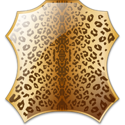 skin-leopard