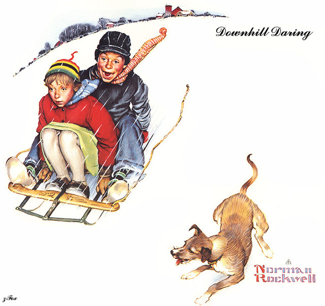 downhill daring