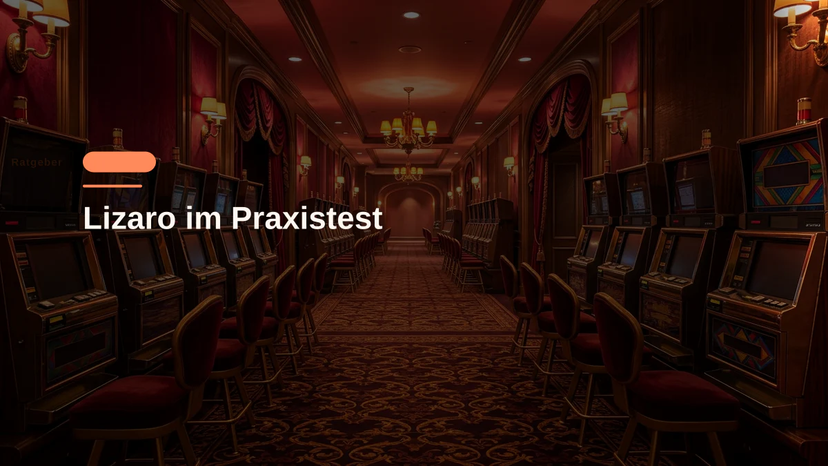 Lizaro im Praxistest