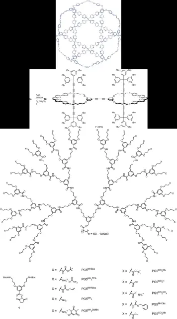 IMG-1286.webp