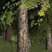 cryptic Hollow 5