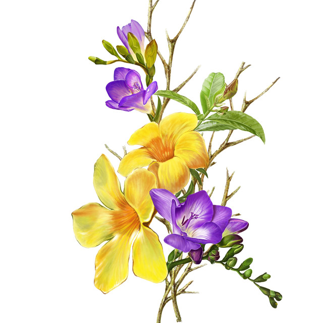shutterstock-461970595.jpg