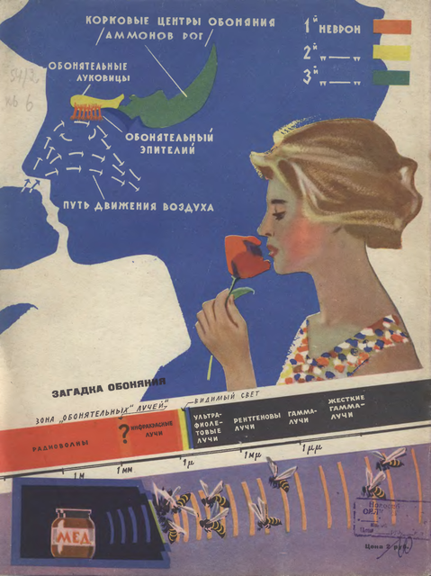 модные журналы 1959. журнал юный техник фантастические рассказы читать. журнал 1959 год. журнал огонек 1958. обложка журнала огонек 1959.