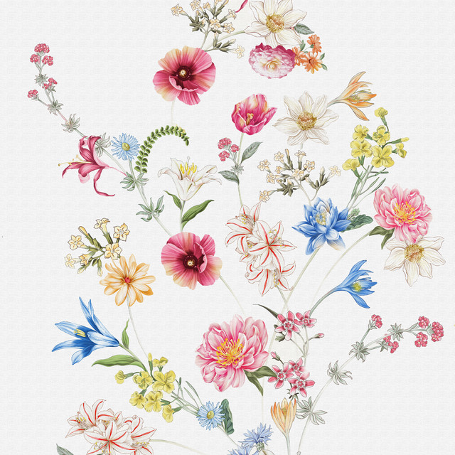 shutterstock 1853095321.jpg
