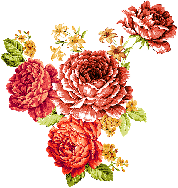 f796e36a5bcc49335a51bf46640b52d6.png