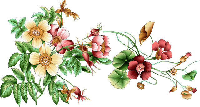 Adobe Stock 515405145.png