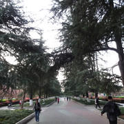 DSC09230