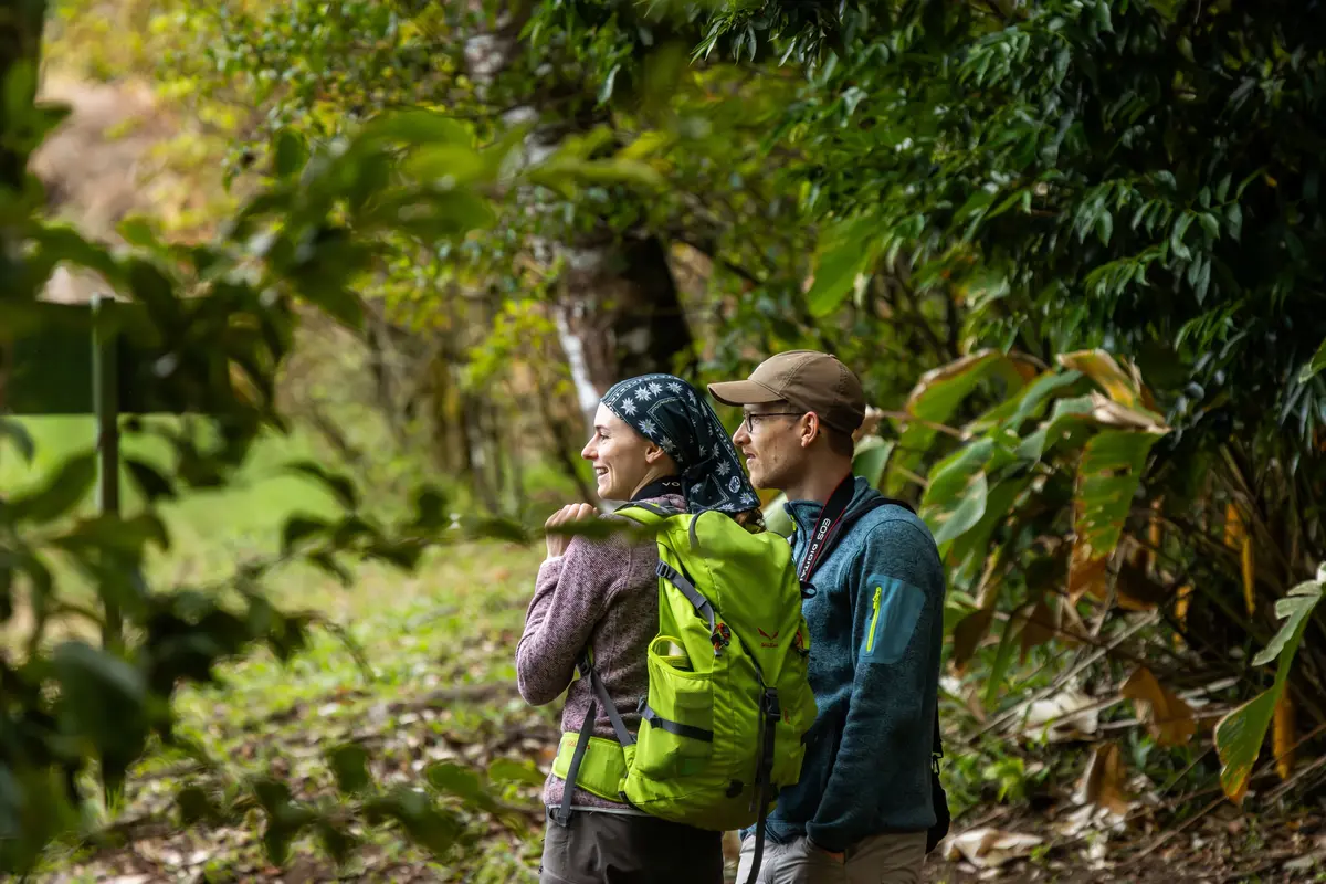 Costa Rica Imposes Steep Fine on Tourists for National Park Ban Breach
