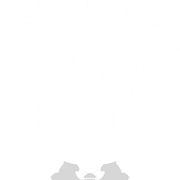 Neck