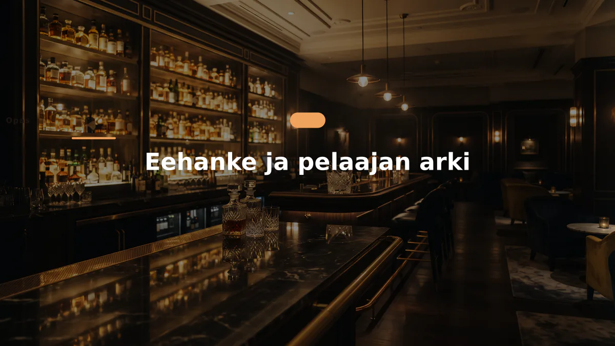 Eehanke ja pelaajan arki