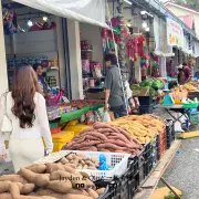 Agro Market2