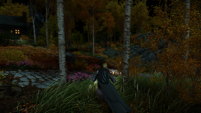 Outside Riften