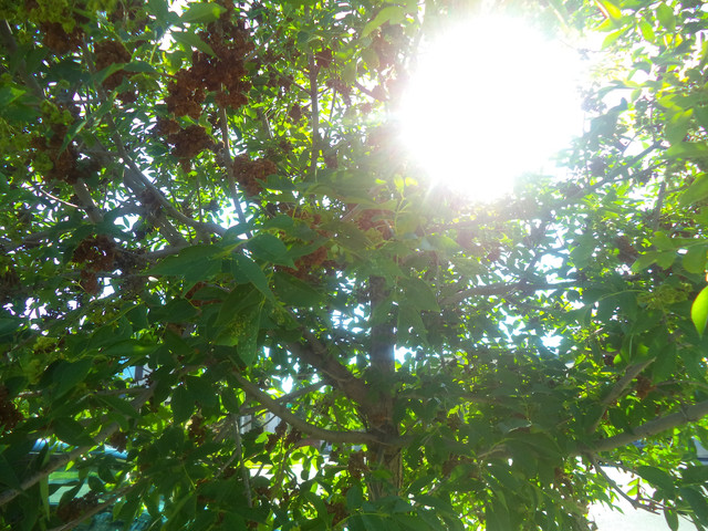 DSC01748