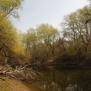 100c000953m