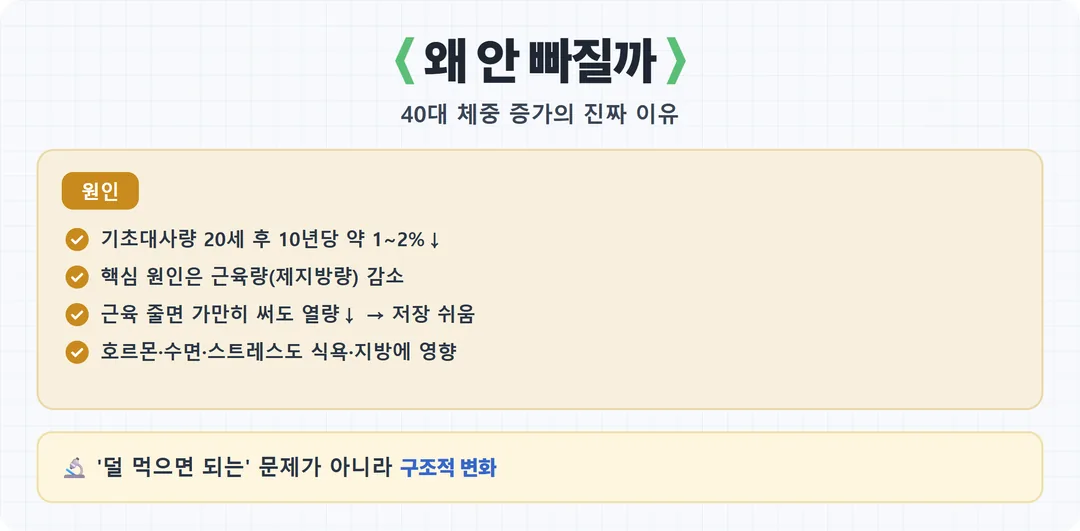 40대 이후 살 안 빠지는 이유 카드 — 기초대사량 근육량 감소