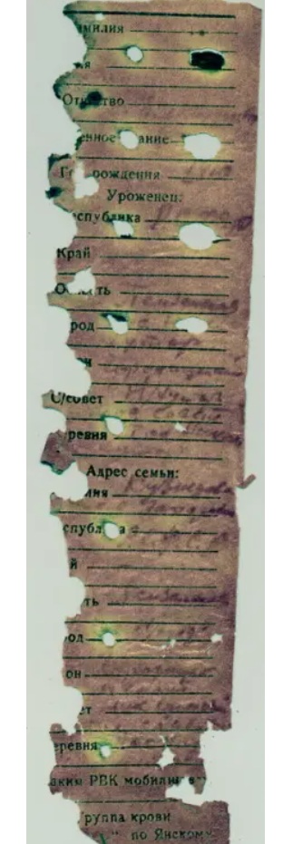 https://i.ibb.co/YBSp8rXH/2.jpg