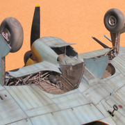 48