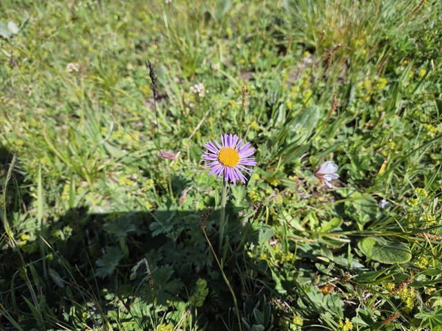 100.jpg