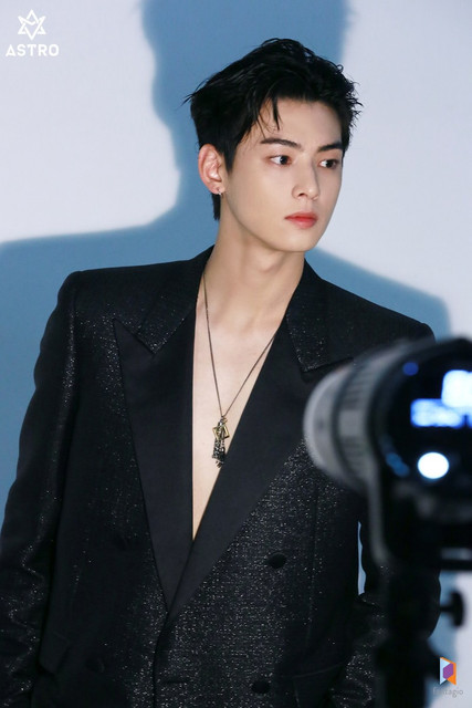 cha eun woo 1028028