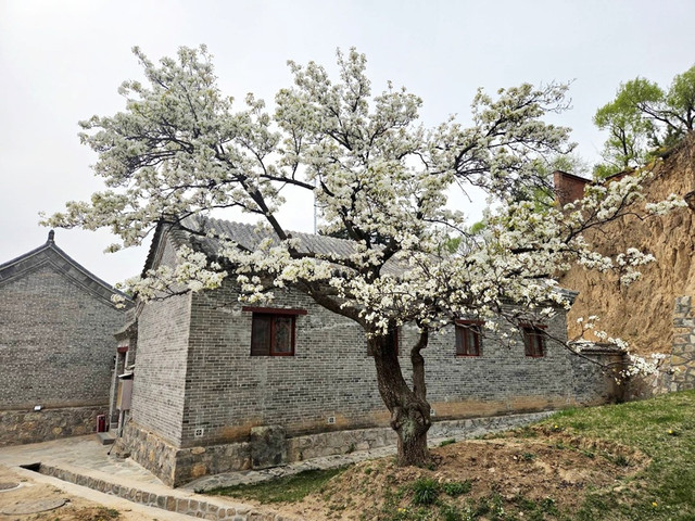 114.jpg