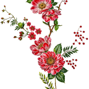 9caf627abc47d738b61c5bbc4eb8bc34