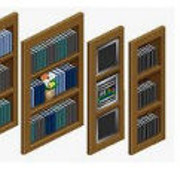Light Oak Buildins Bookcases