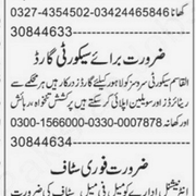 Salesman and Accountant jobs in Islamabad
